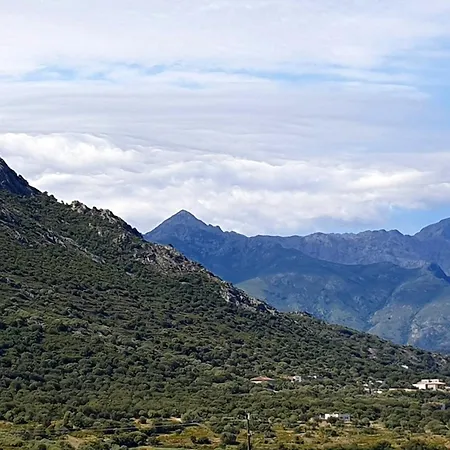 D'hotes A Losari Bed & Breakfast Palasca (Corsica)