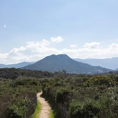 D'hotes A Losari Bed and Breakfast Palasca (Corsica)